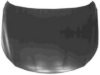 VAN WEZEL 5841660 Bonnet